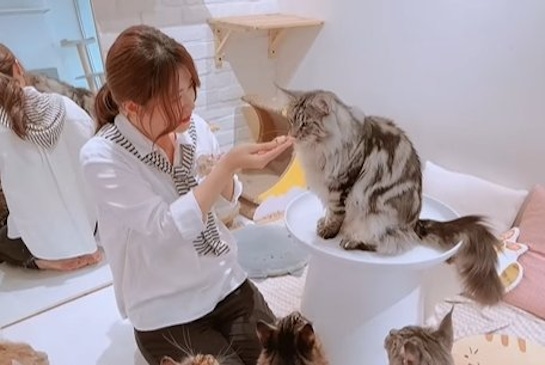 🔅鄭王廟拍攝絕美泰服照 三大秘訣🔅