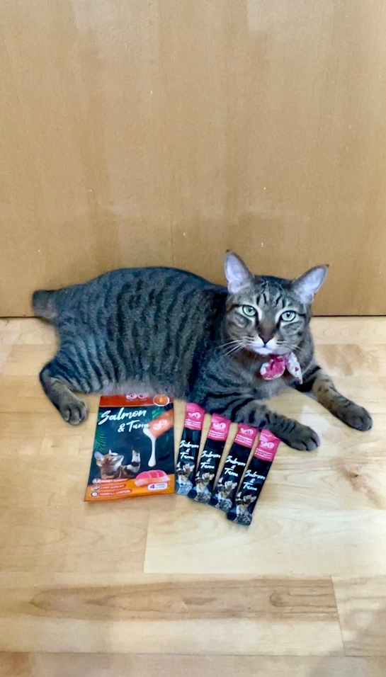 分享GOMO貓專用ALL IN ONE營養肉泥（寵貓專用營養肉泥條）