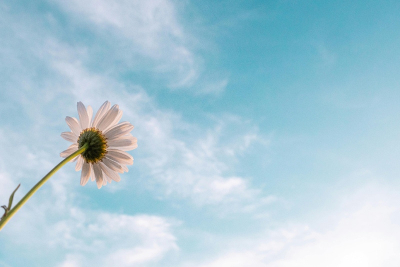 2024年10月星座運勢：雙子低調、水瓶受懲罰、天蠍愛情不平靜、魔羯戲劇化