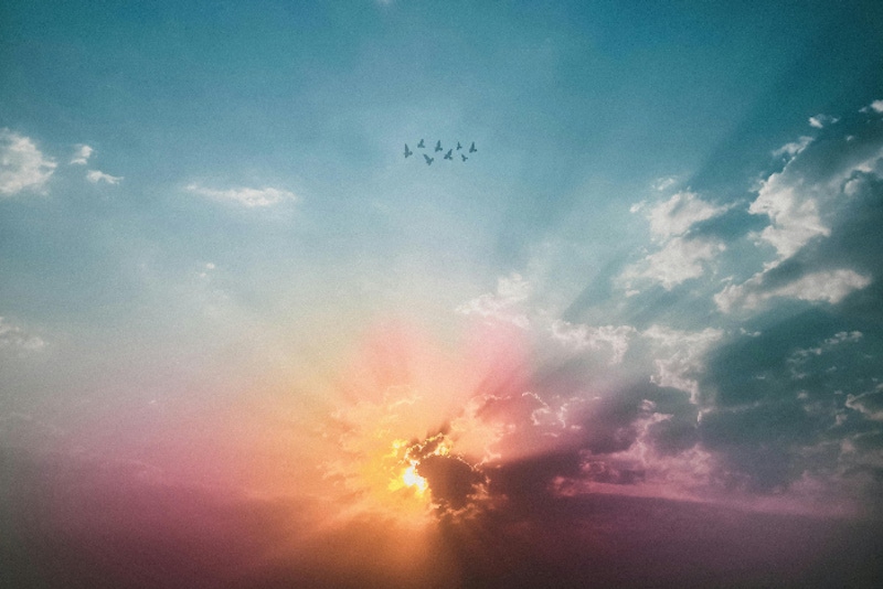 2024美周星座運勢10/14~10/20：獅子充滿活力、雙子創意變現、雙魚相信自己