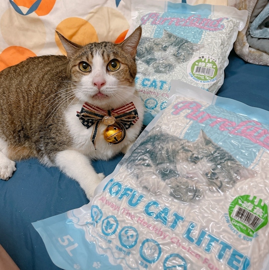 Nov 01 Fri 2024 ［萌寵●貓砂］推薦｜PurreLand 倍淨豆腐貓砂/滿足貓咪與主人的雙重需求。輕鬆清理無負擔，高CP值的豆腐貓砂，值得推薦！