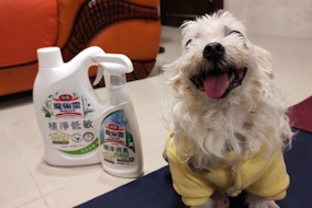 魔術靈毛孩友善浴室、地板清潔劑，天然舒適好安心！