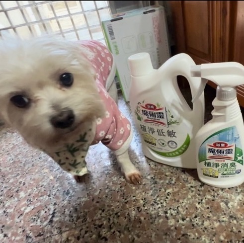 《魔術靈毛孩友善植淨系列清潔劑》毛孩友善，有效清潔，溫和安心🙂