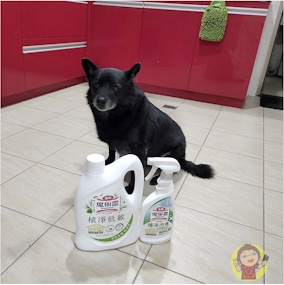 【體驗】毛孩友善清潔劑《魔術靈》地板植淨低敏&浴室植淨消臭，低香性、消臭、清潔、除菌同步完成