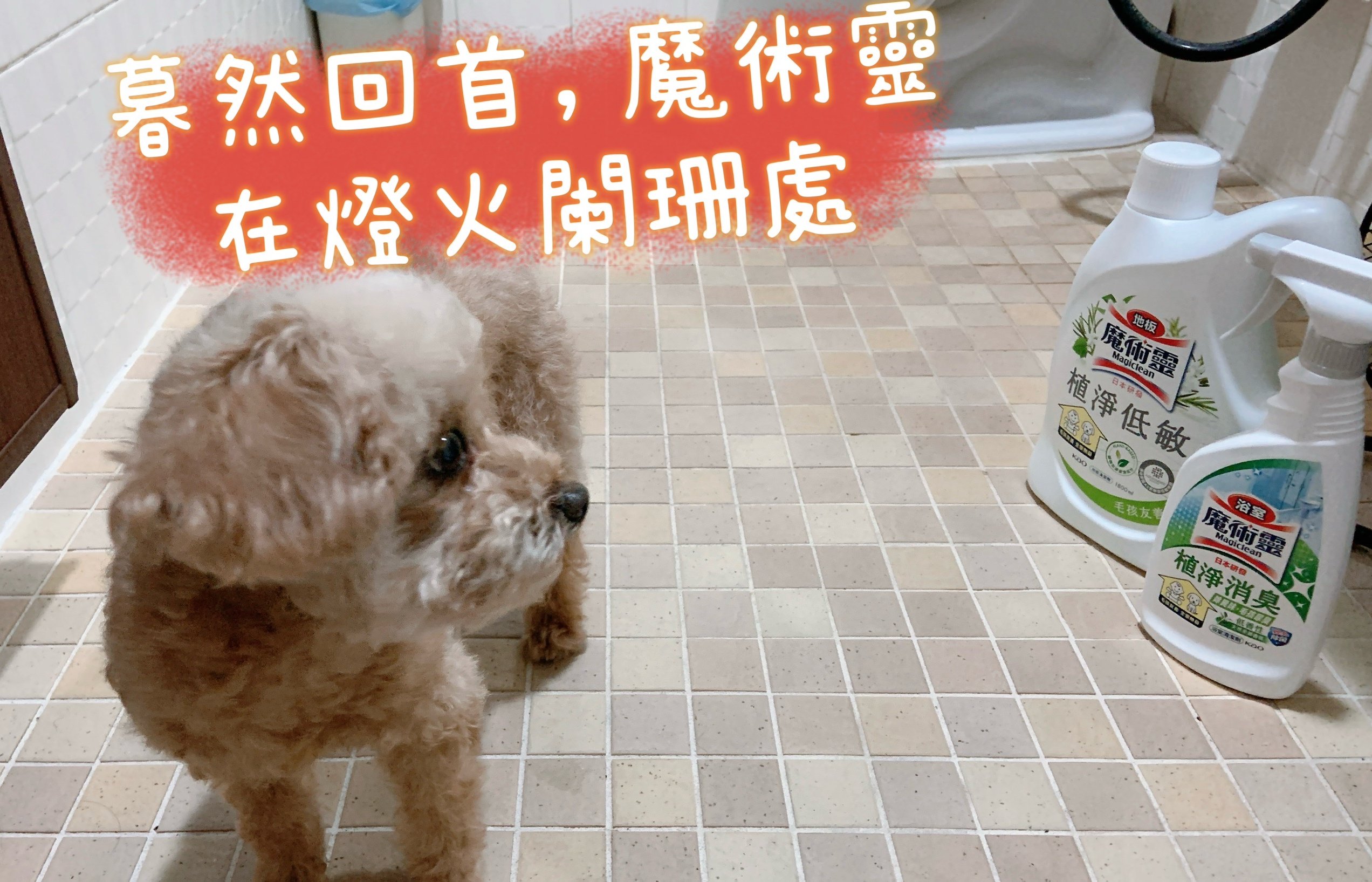 超讚的魔術靈毛孩友善植淨消臭浴室清潔劑和低敏地板清潔劑～寵物聖品