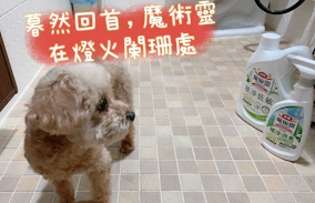 超讚的魔術靈毛孩友善植淨消臭浴室清潔劑和低敏地板清潔劑～寵物聖品