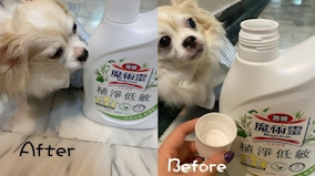 #推薦 🧽🧹超好用魔術靈毛孩友善植淨消臭浴室清潔劑#推薦 魔術靈毛孩友善植淨消臭浴室清潔劑