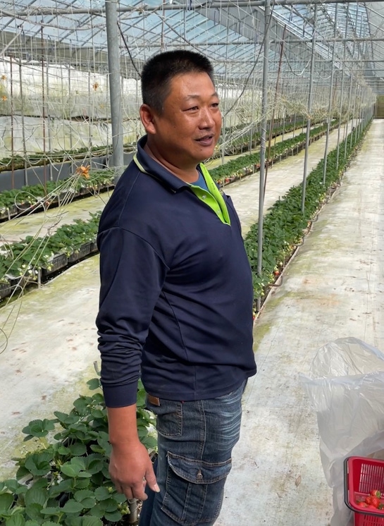 ［苗栗］分享能和毛小孩 一起採無毒草莓的地方