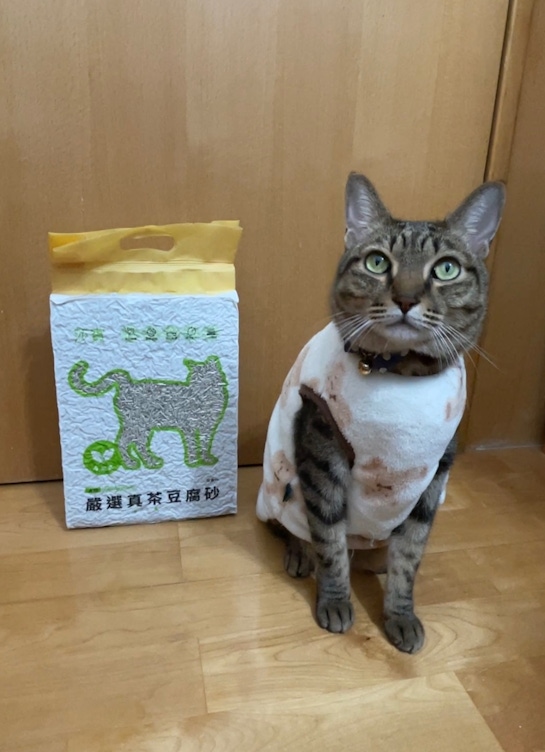 【寵物】莎賓A級嚴選豆腐砂（真茶香味）分享