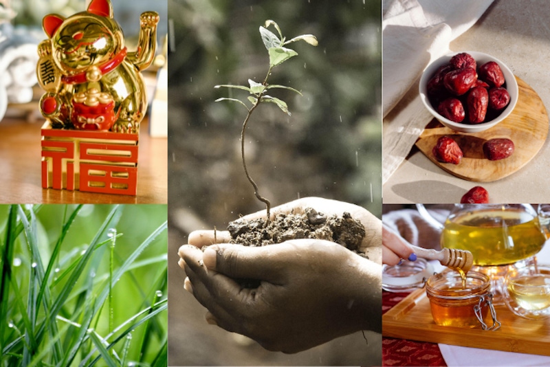 2025節氣「雨水」來臨！養生食補建議、習俗禁忌總整理，這樣做還能招財！