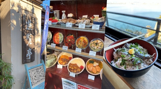 鎌倉江之島美食推薦-邊看海邊大啖吻仔魚丼飯與烤蠑螺！