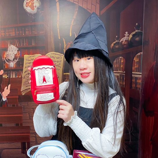 LOUNGEFLY的哈利波特系列包包✨