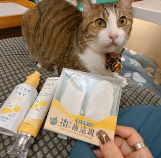 [萌竉●毛孩保健]GoodMo 歸毛家族 - 寵物一口好牙│嚕貓時也要保持口氣好清香,一同和歸毛家族守護毛小孩，親親抱抱享樂生活!!