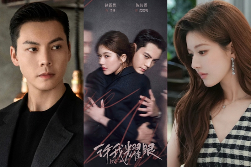 Netflix 陸劇《許我耀眼》劇情＋評價＋10 大必追亮點一次看！趙露思化身帶刺「黑蓮花」槓上豪門婆婆、「腹黑霸總」陳偉霆「追妻火葬場」讓人心癢癢⋯⋯