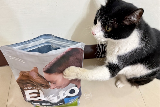 [寵物]Elato杜莎評價/義大利飼料推薦【成貓亮毛配方-深海鮮魚】Cindy開箱