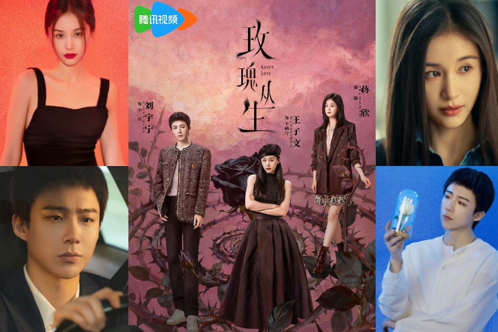 陸劇《玫瑰叢生》好看嗎？劉宇寧、王子文新劇10大亮點線上看！預告金句連發、女主「鑑情師」設定超吸睛⋯