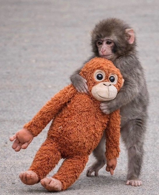 關注孤單的Punchi，是因為看到了曾經的自己嗎？！