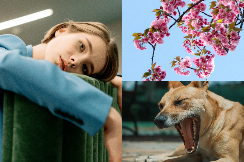 「春困」是什麼？要如何克服？想要擺脫春季的疲憊感，靠這 10 招就OK！