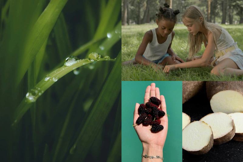 2026「穀雨」在 4/20！春季最後一個節氣有哪些習俗與禁忌？穀雨當天可以吃什麼、做什麼？