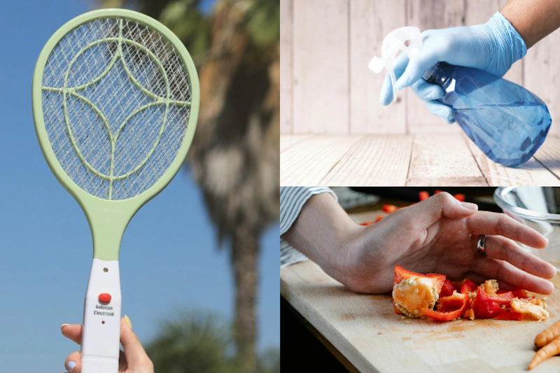 蟲蟲大軍即將來襲！為什麼夏天家裡蟲子會變多？夏季必備的10個「居家防蟲」小技巧是⋯