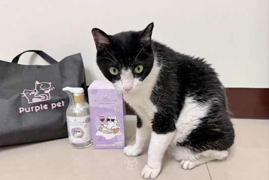 [寵物]PURPLE PET寵寵香【毛寵專愛貓用洗毛精-全貓通用】Cindy開箱